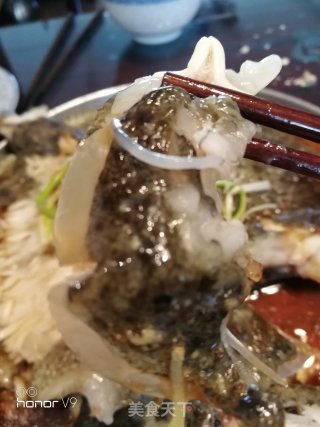 清蒸多宝鱼的做法步骤：8