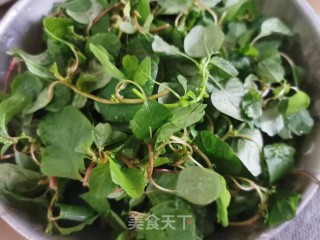 白灼野苋菜的做法步骤：1