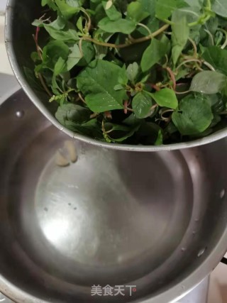 白灼野苋菜的做法步骤：3