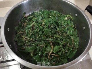 白灼野苋菜的做法步骤：4