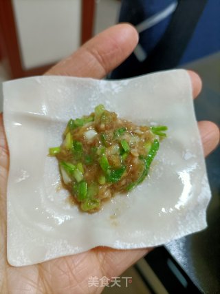 我的胖胖馄饨的做法步骤：7