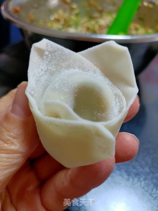 我的胖胖馄饨的做法步骤：9
