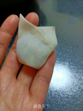 我的胖胖馄饨的做法步骤：10
