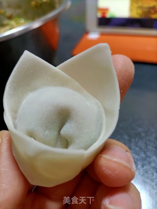 我的胖胖馄饨的做法步骤：11