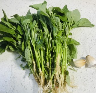 蒜末炒苋菜的做法步骤：1