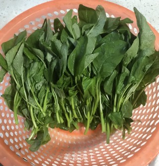 蒜末炒苋菜的做法步骤：2