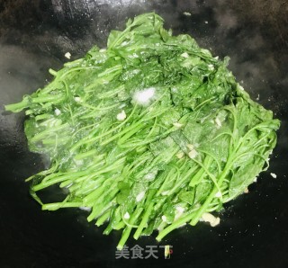 蒜末炒苋菜的做法步骤：5