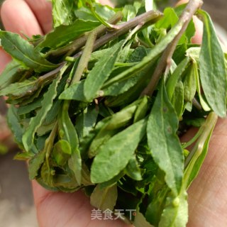 枸杞头粳米粥的做法步骤：1