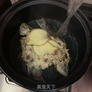 菊花鲫鱼汤的做法步骤：5