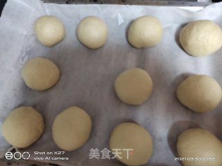 咸蛋黄肉松面包的做法步骤：11