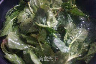 #春季野菜#麻酱菠菜的做法步骤：4