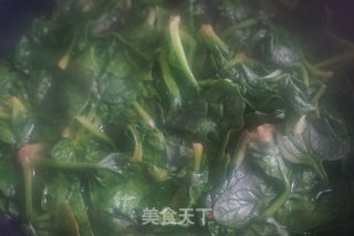 #春季野菜#麻酱菠菜的做法步骤：7