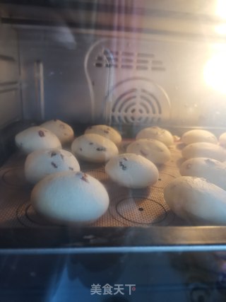蔓越莓麻薯的做法步骤：15