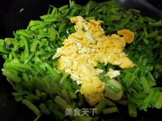 菠菜梗炒鸡蛋的做法步骤：5