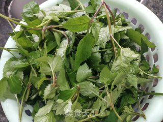 清煮鬼针草的做法步骤：1