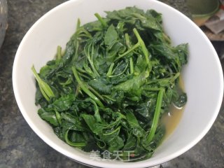 清煮鬼针草的做法步骤：5