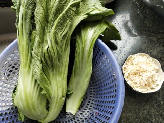 虾米炒盖菜的做法步骤：1