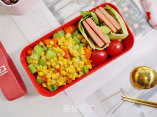 减脂瘦身三色糙米午餐便当的做法步骤：10