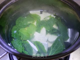 桑叶豆腐汤的做法步骤：5