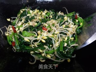 菠菜炒黄豆芽的做法步骤：5