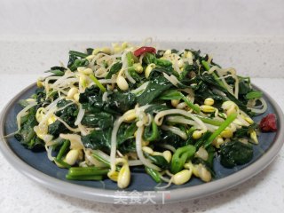 菠菜炒黄豆芽的做法步骤：6