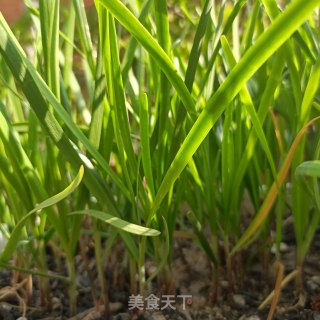 韭菜拌腱子肉的做法步骤：1