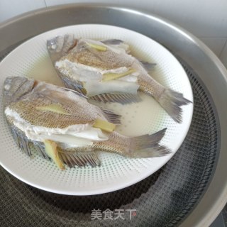 清蒸海福鱼的做法步骤：9