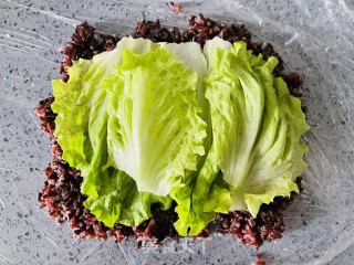 口感超赞的紫米肉松饭团的做法步骤：4