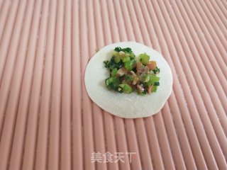 芹菜猪肉锅贴的做法步骤：6