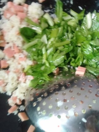 荠菜炒饭的做法步骤：6