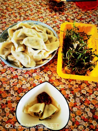 三鲜鲅鱼饺子的做法步骤：20