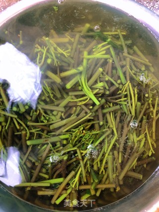 野葱炒蕨菜的做法步骤：1
