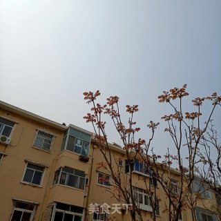 “嗦粉”蒜香煎蛋绿豆粉的做法步骤：4