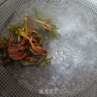 “嗦粉”蒜香煎蛋绿豆粉的做法步骤：5