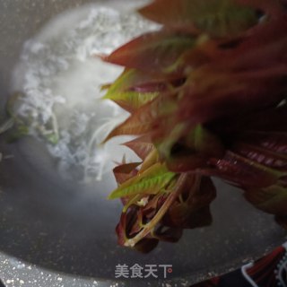 香椿针菇拌鸡肝的做法步骤：6