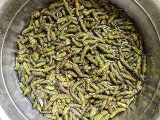 小米椒蒜苔蒸炒楮桃穗的做法步骤：1