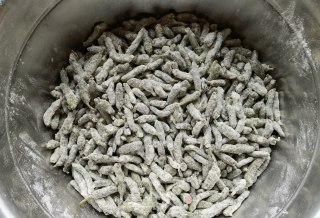 小米椒蒜苔蒸炒楮桃穗的做法步骤：6