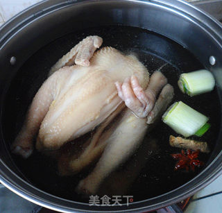 葱油鸡的做法步骤：4