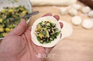 鸡蛋香菇油菜饺子的做法步骤：11