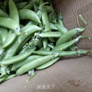 白灼甜豆的做法步骤：1