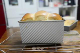 我被这个面包俘虏了【波兰种奶油吐司】的做法步骤：13