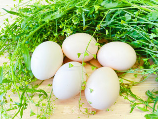 荠菜煮鸡蛋的做法步骤：1