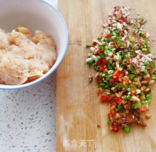 鸡肉拌粉的做法步骤：6