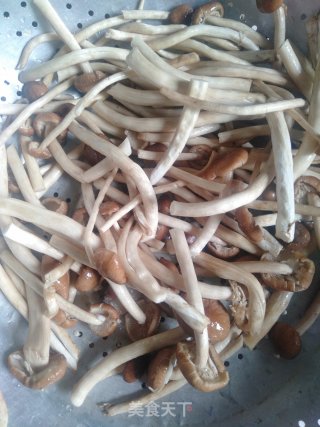 腊肉炒茶树的做法步骤：2