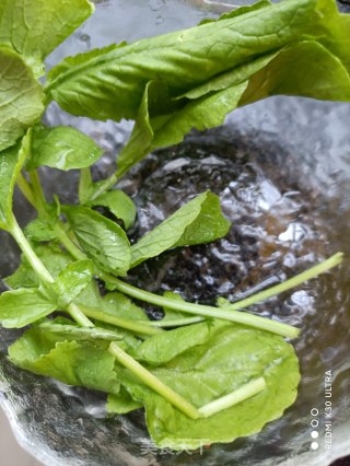 甜豆鸡蛋沙拉的做法步骤：7