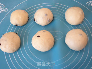 蓝莓面包卷的做法步骤：6