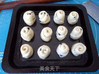 蓝莓面包卷的做法步骤：10