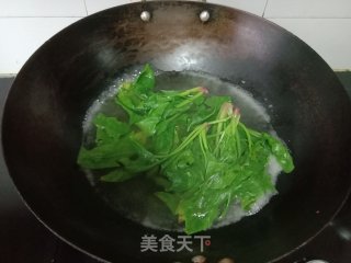 菠菜汁胡萝卜包子的做法步骤：1