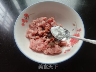 菠菜汁胡萝卜包子的做法步骤：10