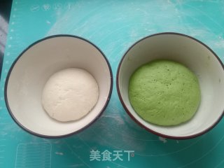 菠菜汁胡萝卜包子的做法步骤：13